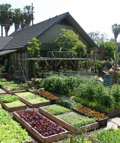 Horta