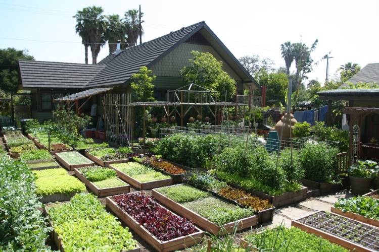 Horta