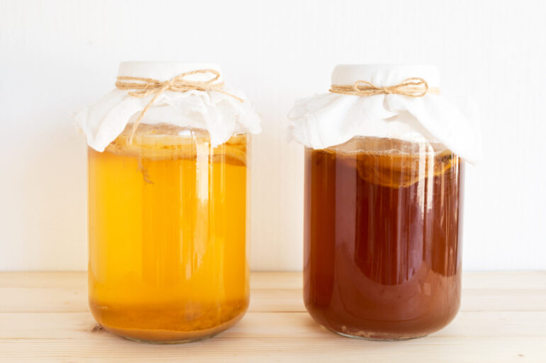 kombucha